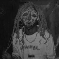 Triptych Lux_Ne Obliviscaris