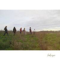 Halcyon_Bend The Sky