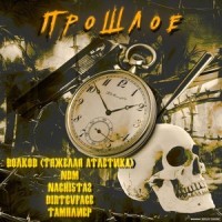 Кошка_Face2face