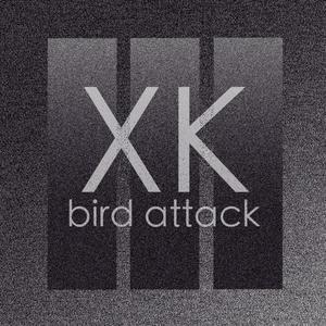 Bird Attack