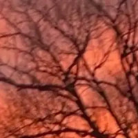 A And D_Acid Drinkers