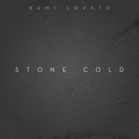 Stone Cold_Meaningless Journey