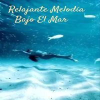 Bajo Y Melodia_Bajo Y Melodia