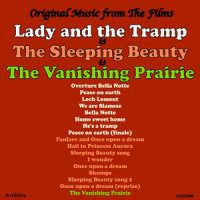 Sleeping Beauty_The Imperfect Sphere