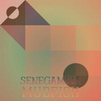 Moya Devushka_Plush Fish