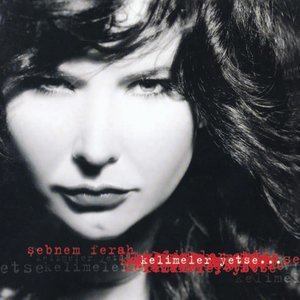 Ben Şarkımı Söylerken