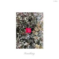 Danky Kang_Tyler Bilodeau