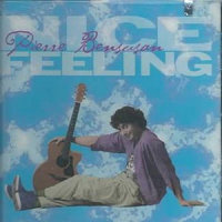 Nice Feeling_Pierre Bensusan