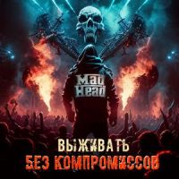 День рождение гит_Grey Head
