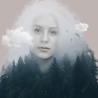 Rain_All In Sane