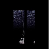 Black shadow_Blitz