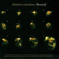Unbelievable_Esthetic Education