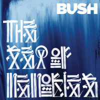 Baby Come Home_Bush