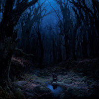 Somehow_Woods Of Desolation