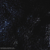 The Foundations of Decay_My Chemical Romance