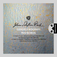 Bwv 538 Toccata_Johann Sebastian Bach
