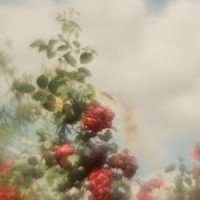 Blues Acoustic_Blues Fingerstyle