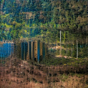 Staring At The Queen