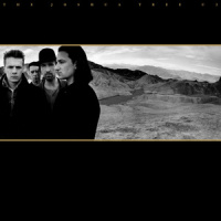 Trip Through Your Wires_U2