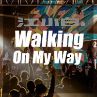 Walking On The Sidewalks_Queens Of The Stone Age