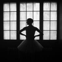 Beauty & Stupid_Hide