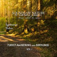 Nightmare In The Morning_Lost Forest