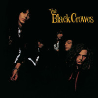 Seeing Things_The Black Crowes