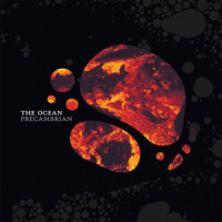 Rhyacian_The Ocean Collective