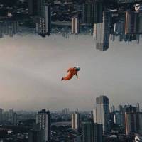 Shiro Uzasaki_A Negative Regenerative Pheasant