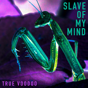 Slave Of My Mind