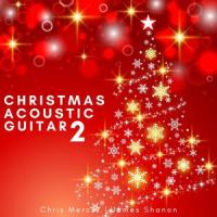 Wonderful Christmastime (Guitar Accompaniment)_Paul McCartney