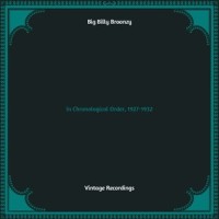 Skoodle Do Do_Big Bill Broonzy