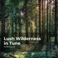 Nord Forest_Ush