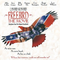 Searchin_Lynyrd Skynyrd