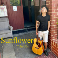 Sunflower_Paddy Sun