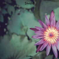 The Nightbird_Tyler Ramsey