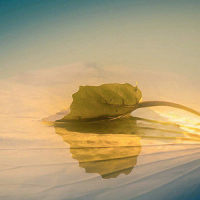 Hit It Harder_Stuart Ryan