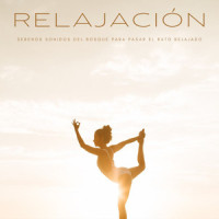 Otro Dia Para Ser_Hermetica