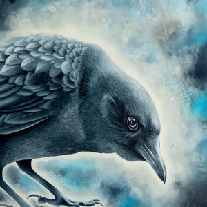 The Transit of Venus Across the Sun (Solo)