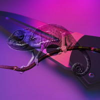 We're All Thieves_Circa Survive
