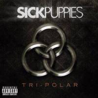 So What I Lied_Sick Puppies