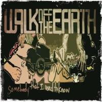 Somebody That I Used To Know (Cover)_Walk Off The Earth