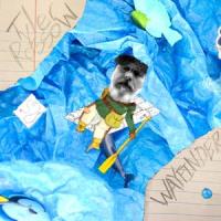 Wayfinder_Tyler Rossow