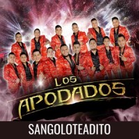 Asear Vehículos_Banda De Guerra
