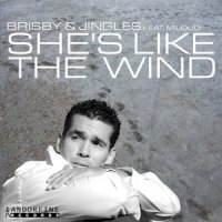 She's Like The Wind_Shaun Mcintosh