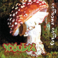 Take Me To Your Leader_Incubus