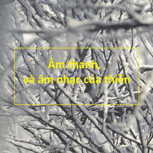 Tâm Hồn Của Đá