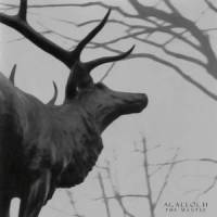 In The Shadow Of Our Pale Companion_Agalloch
