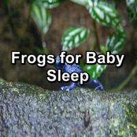 Molestas_Mad Frogs