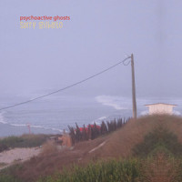 Phycho_The Beach Boys